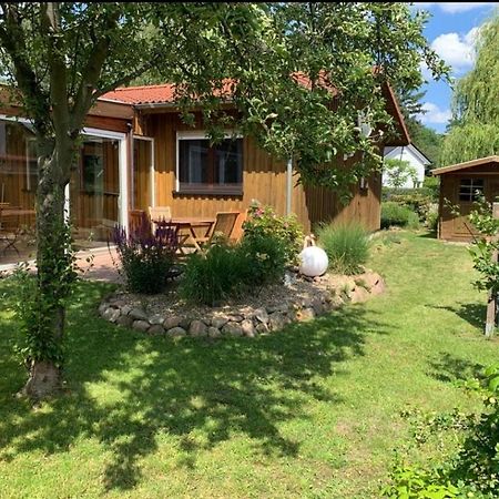 Ferienhaus In Absoluter Seenaehe Fuer 4 Personen Arendsee  Zewnętrze zdjęcie